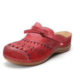Lya | Laser-Cut Buckle Clogs