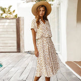 Faelina | Leopard-Print Top & Skirt Set