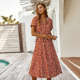 Faelina | Leopard-Print Top & Skirt Set